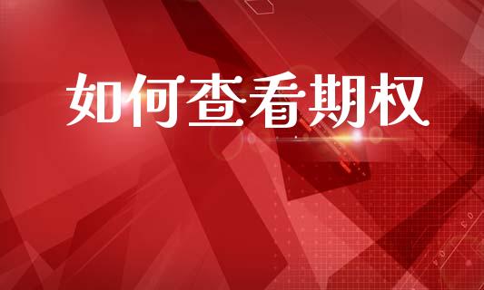 如何查看期权_https://wap.sdxiaoxijinshu.com_财经_第1张