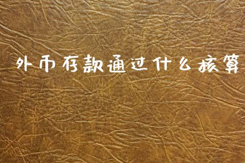外币存款通过什么核算_https://wap.sdxiaoxijinshu.com_金融_第1张