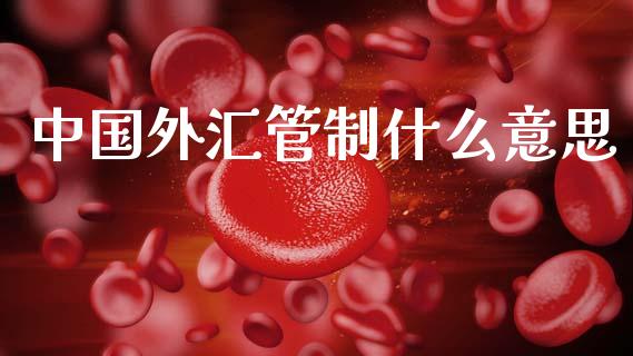 中国外汇管制什么意思_https://wap.sdxiaoxijinshu.com_财经_第1张