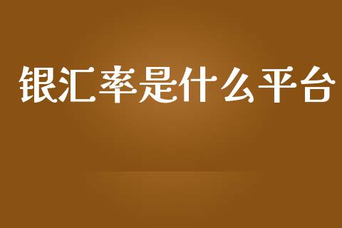 银汇率是什么平台_https://wap.sdxiaoxijinshu.com_理财_第1张