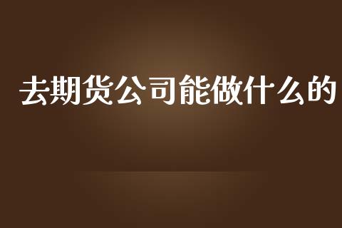 去期货公司能做什么的_https://wap.sdxiaoxijinshu.com_期货_第1张