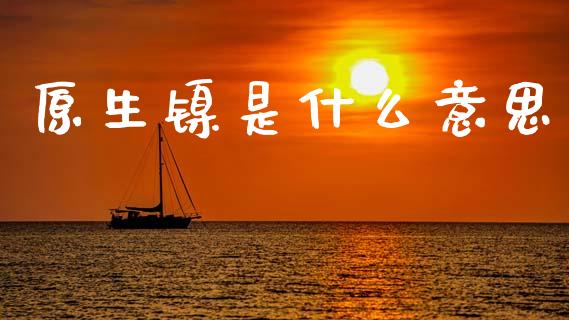 原生镍是什么意思_https://wap.sdxiaoxijinshu.com_期货_第1张