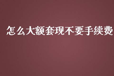 怎么大额套现不要手续费_https://wap.sdxiaoxijinshu.com_财经_第1张