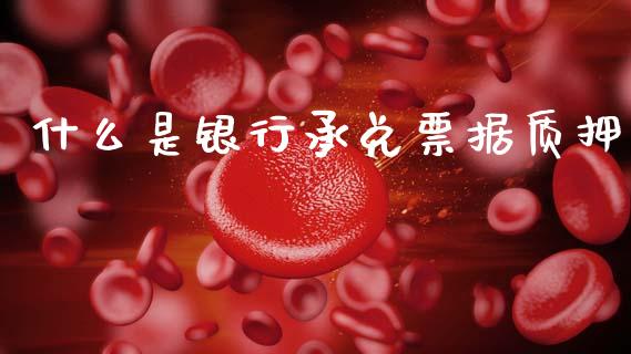 什么是银行承兑票据质押_https://wap.sdxiaoxijinshu.com_金融_第1张