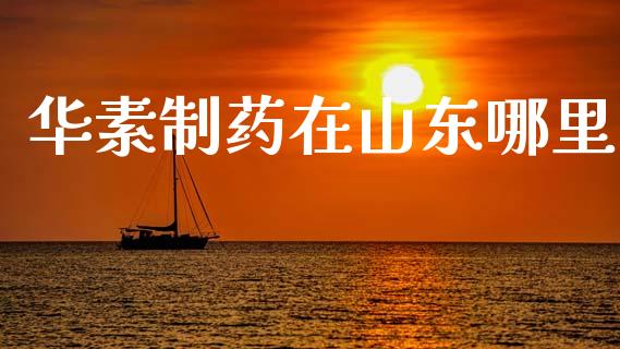 华素制药在山东哪里_https://wap.sdxiaoxijinshu.com_期货_第1张