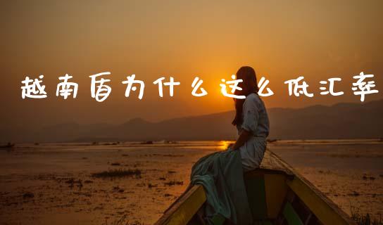 越南盾为什么这么低汇率_https://wap.sdxiaoxijinshu.com_财经_第1张