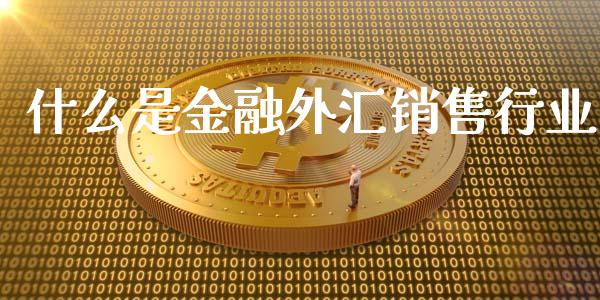 什么是金融外汇销售行业_https://wap.sdxiaoxijinshu.com_财经_第1张