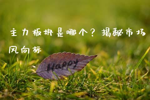 主力板块是哪个？揭秘市场风向标_https://wap.sdxiaoxijinshu.com_金融_第1张