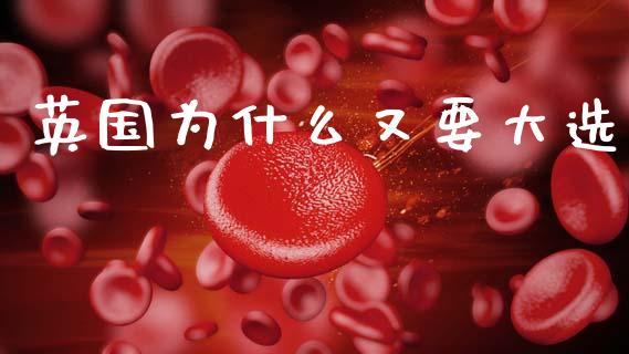 英国为什么又要大选_https://wap.sdxiaoxijinshu.com_财经_第1张