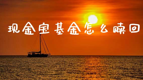 现金宝基金怎么赎回_https://wap.sdxiaoxijinshu.com_金融_第1张