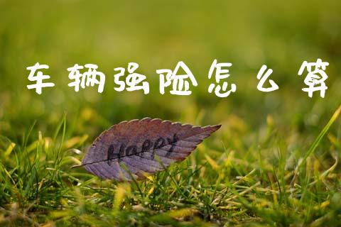 车辆强险怎么算_https://wap.sdxiaoxijinshu.com_理财_第1张