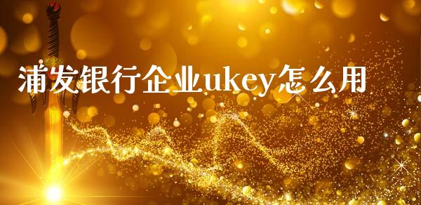 浦发银行企业ukey怎么用_https://wap.sdxiaoxijinshu.com_金融_第1张
