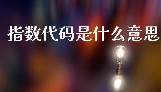 指数代码是什么意思_https://wap.sdxiaoxijinshu.com_财经_第1张