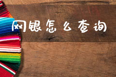 网银怎么查询_https://wap.sdxiaoxijinshu.com_金融_第1张