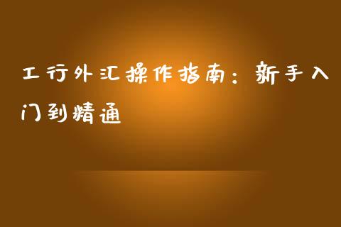 工行外汇操作指南：新手入门到精通_https://wap.sdxiaoxijinshu.com_金融_第1张