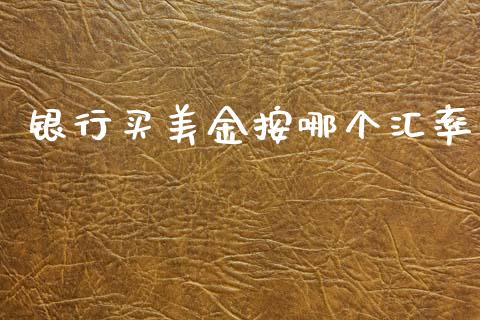 银行买美金按哪个汇率_https://wap.sdxiaoxijinshu.com_财经_第1张