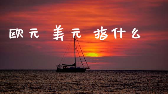 欧元 美元 指什么_https://wap.sdxiaoxijinshu.com_财经_第1张