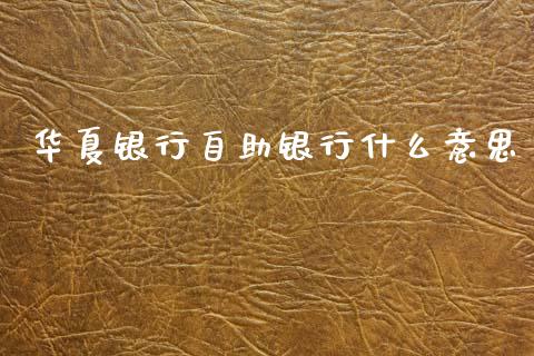 华夏银行自助银行什么意思_https://wap.sdxiaoxijinshu.com_金融_第1张