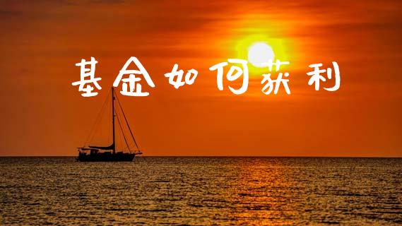 基金如何获利_https://wap.sdxiaoxijinshu.com_金融_第1张