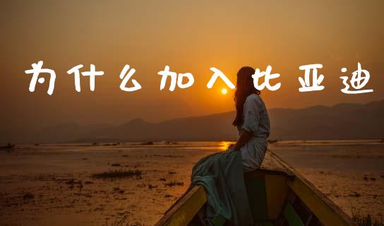 为什么加入比亚迪_https://wap.sdxiaoxijinshu.com_期货_第1张