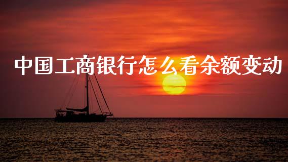 中国工商银行怎么看余额变动_https://wap.sdxiaoxijinshu.com_金融_第1张