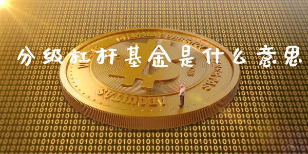 分级杠杆基金是什么意思_https://wap.sdxiaoxijinshu.com_期货_第1张