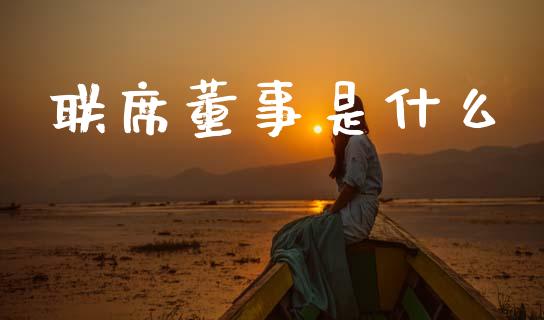 联席董事是什么_https://wap.sdxiaoxijinshu.com_金融_第1张