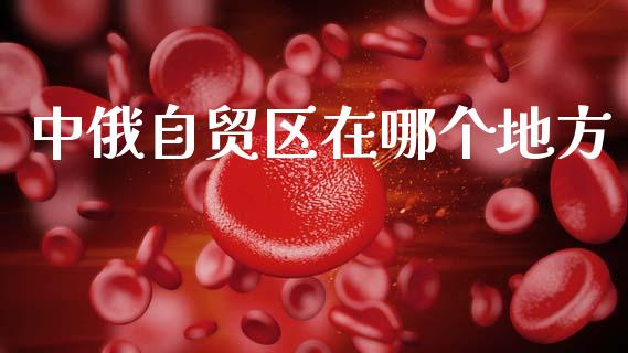 中俄自贸区在哪个地方_https://wap.sdxiaoxijinshu.com_金融_第1张