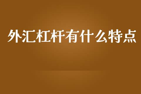 外汇杠杆有什么特点_https://wap.sdxiaoxijinshu.com_财经_第1张