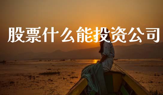 股票什么能投资公司_https://wap.sdxiaoxijinshu.com_期货_第1张
