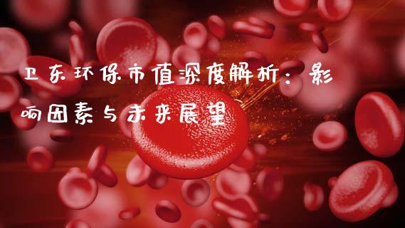 卫东环保市值深度解析：影响因素与未来展望_https://wap.sdxiaoxijinshu.com_理财_第1张