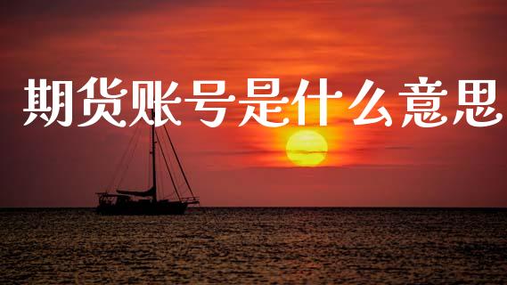 期货账号是什么意思_https://wap.sdxiaoxijinshu.com_期货_第1张