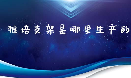 雅培支架是哪里生产的_https://wap.sdxiaoxijinshu.com_金融_第1张