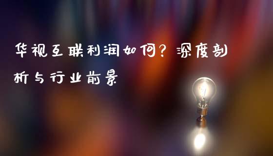 华视互联利润如何？深度剖析与行业前景_https://wap.sdxiaoxijinshu.com_财经_第1张
