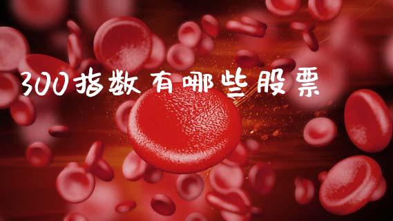 300指数有哪些股票_https://wap.sdxiaoxijinshu.com_理财_第1张