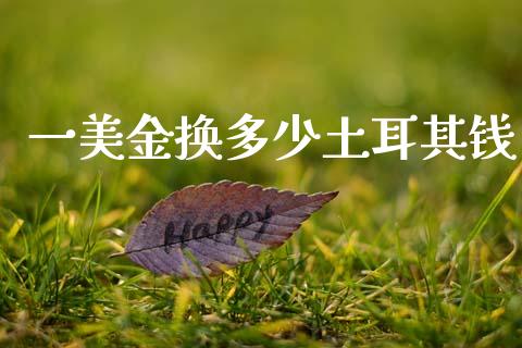 一美金换多少土耳其钱_https://wap.sdxiaoxijinshu.com_财经_第1张