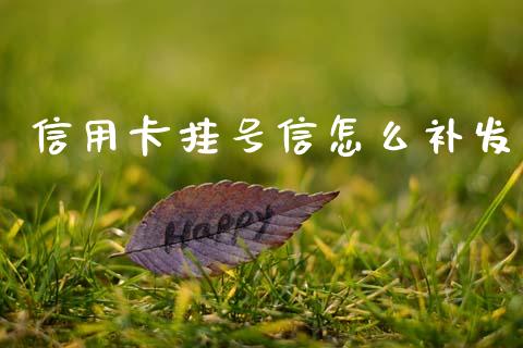 信用卡挂号信怎么补发_https://wap.sdxiaoxijinshu.com_金融_第1张