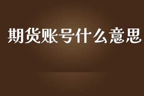期货账号什么意思_https://wap.sdxiaoxijinshu.com_期货_第1张