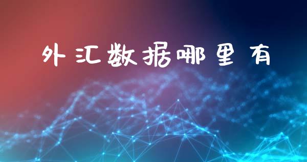 外汇数据哪里有_https://wap.sdxiaoxijinshu.com_财经_第1张