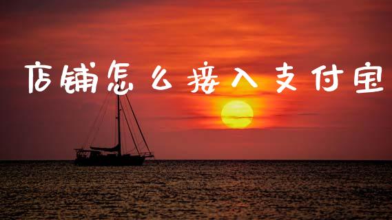 店铺怎么接入支付宝_https://wap.sdxiaoxijinshu.com_理财_第1张