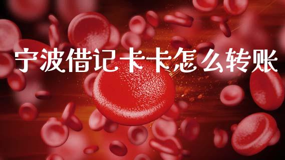 宁波借记卡卡怎么转账_https://wap.sdxiaoxijinshu.com_金融_第1张
