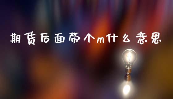 期货后面带个m什么意思_https://wap.sdxiaoxijinshu.com_期货_第1张