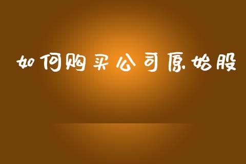 如何购买公司原始股_https://wap.sdxiaoxijinshu.com_理财_第1张