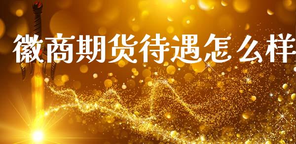 徽商期货待遇怎么样_https://wap.sdxiaoxijinshu.com_期货_第1张