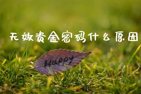 无效资金密码什么原因_https://wap.sdxiaoxijinshu.com_期货_第1张