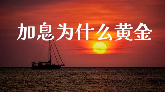 加息为什么黄金_https://wap.sdxiaoxijinshu.com_财经_第1张