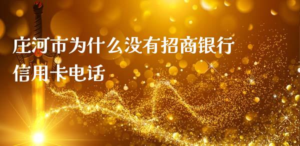 庄河市为什么没有招商银行信用卡电话_https://wap.sdxiaoxijinshu.com_金融_第1张