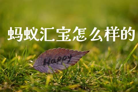 蚂蚁汇宝怎么样的_https://wap.sdxiaoxijinshu.com_财经_第1张