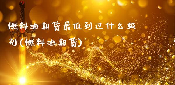燃料油期货最低到过什么级别(燃料油期货)_https://wap.sdxiaoxijinshu.com_期货_第1张