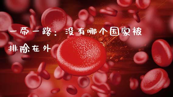 一带一路：没有哪个国家被排除在外_https://wap.sdxiaoxijinshu.com_期货_第1张